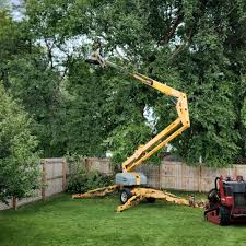  Warrenton, MO Tree Removal Services Pros